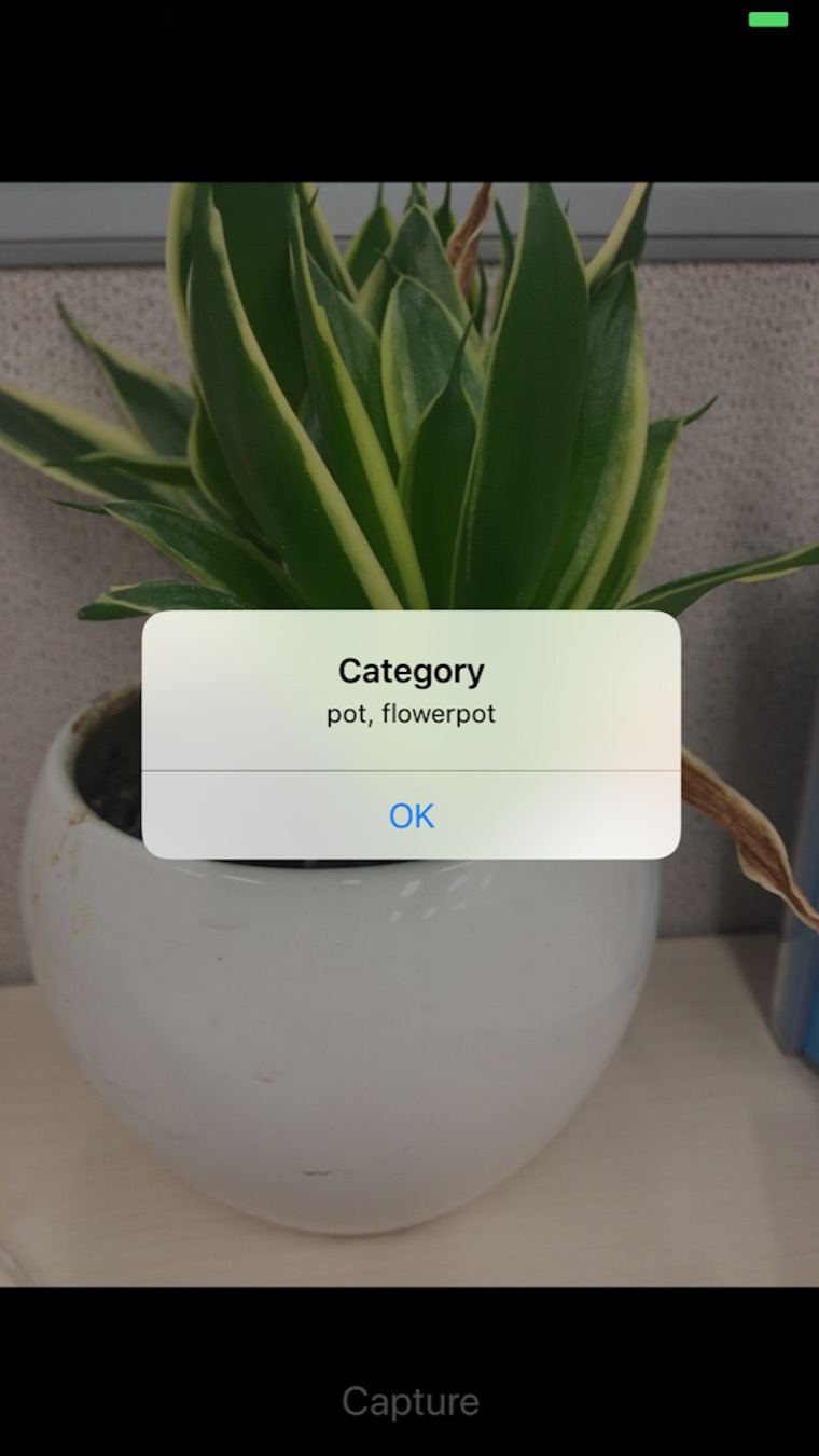 iOS-CoreML-FlowerPot